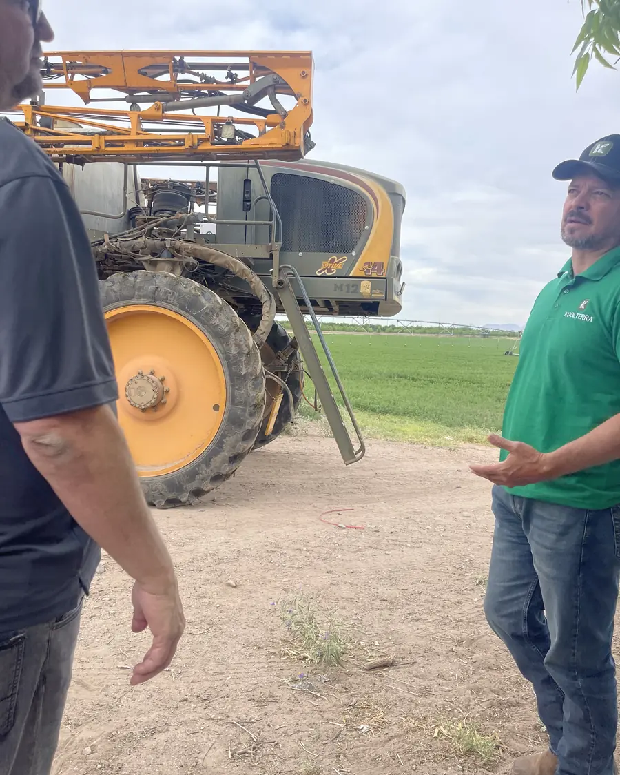 Aplicación de mejorador de suelo Koolterra en un cultivo de alfalfa en Chihuahua